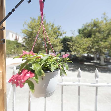 Hotel Finikas Methoni  Zewnętrze zdjęcie